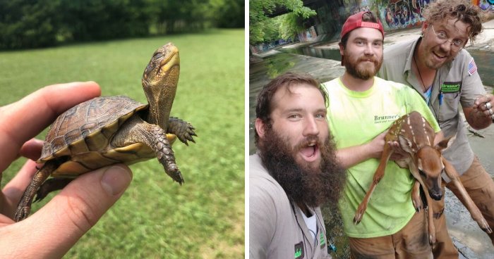 67 Pics Of Animals Who Were Saved From Awful Conditions And Got A Second Chance In Life