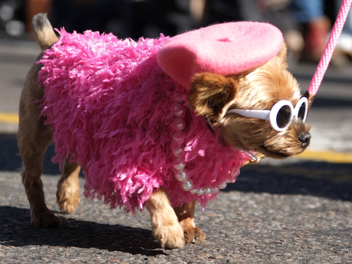 73 Things New Yorkers Don’t Think Are Weird But Outsiders Noticed Immediately