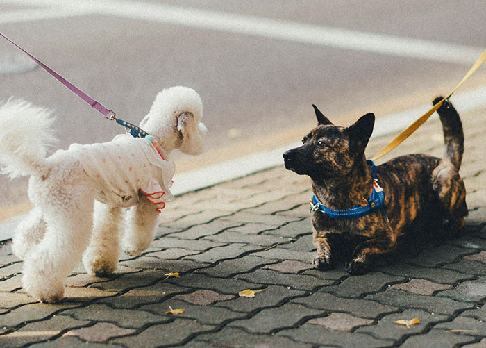 73 Things New Yorkers Are Used To About But Outsiders Were Surprised By