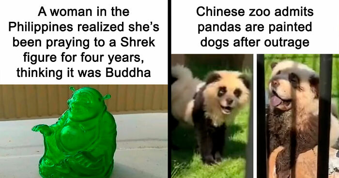 83 Funny Times People Invented Sentences No One Has Ever Heard Before And Won Internet Points