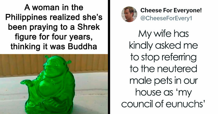 83 Funny Times People Invented Sentences No One Has Ever Heard Before And Won Internet Points