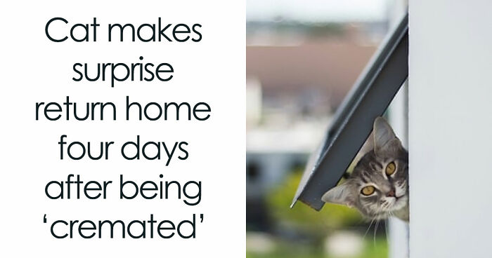 83 Funny Times People Invented Sentences No One Has Ever Heard Before And Won Internet Points