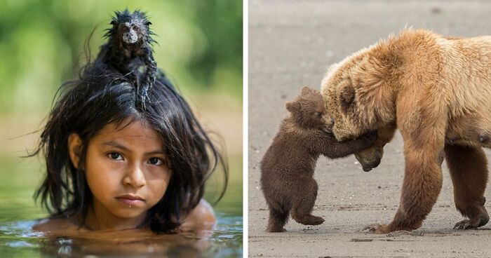 40 Incredible Photos Awarded In Previous Years Of The Wildlife Photographer Of The Year Contest