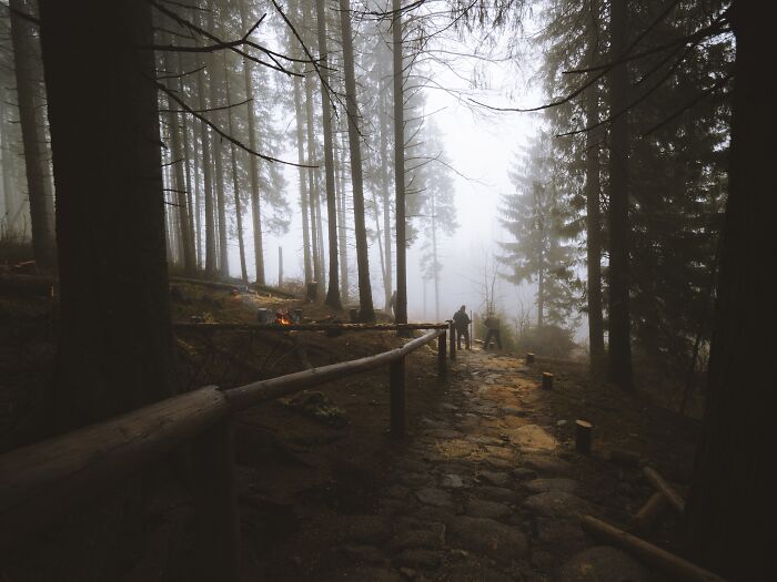 Foggy forest path with two figures walking alone surrounded by tall trees, evoking scary encounters in isolated settings.