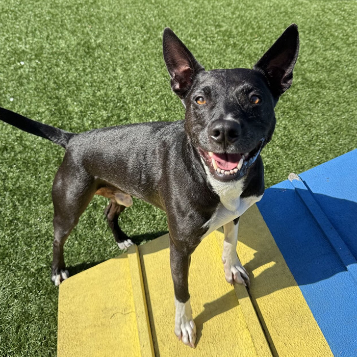 Woman Left Hanging From Cliff 70Ft Above The Ocean Reveals Horrifying Ordeal