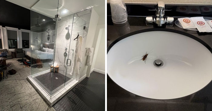77 Times Hotels Messed Up So Bad, People Had To Shame Them Online (New Pics)