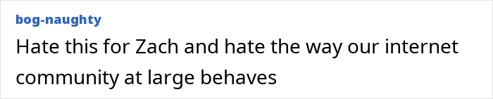 Comment expressing frustration about the internet community's behavior towards Zach Braff amid bizarre accusations.