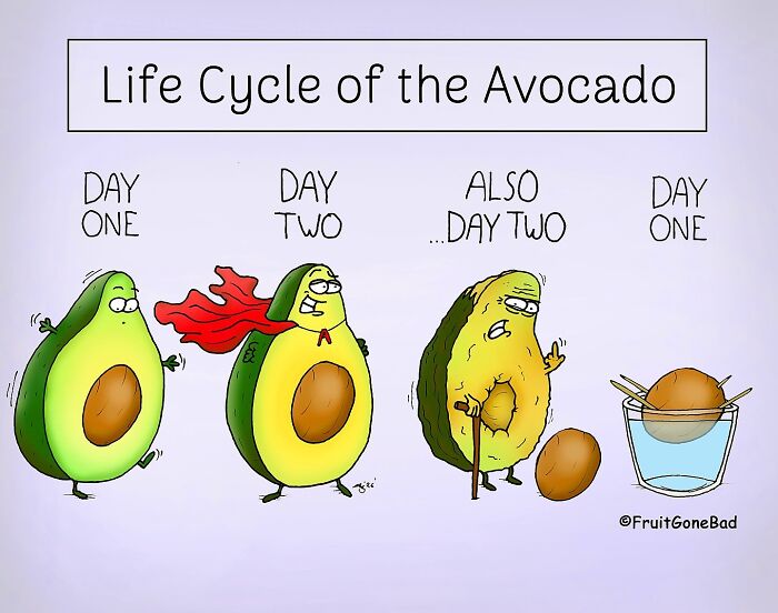 These Hilarious Comics Turn Fruits Into Wild, Slightly Twisted Characters And People Can’t Get Enough (39 New Pics)