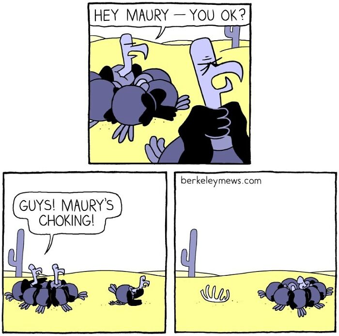 The Best Of Ben Zaehringer Berkeley Mews