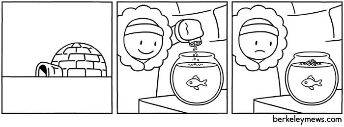 The Best Of Ben Zaehringer Berkeley Mews