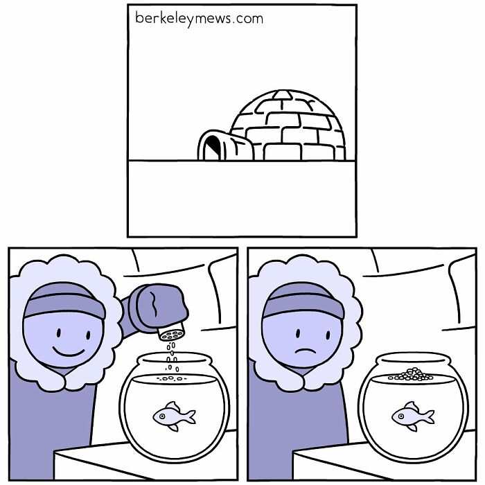 The Best Of Ben Zaehringer Berkeley Mews