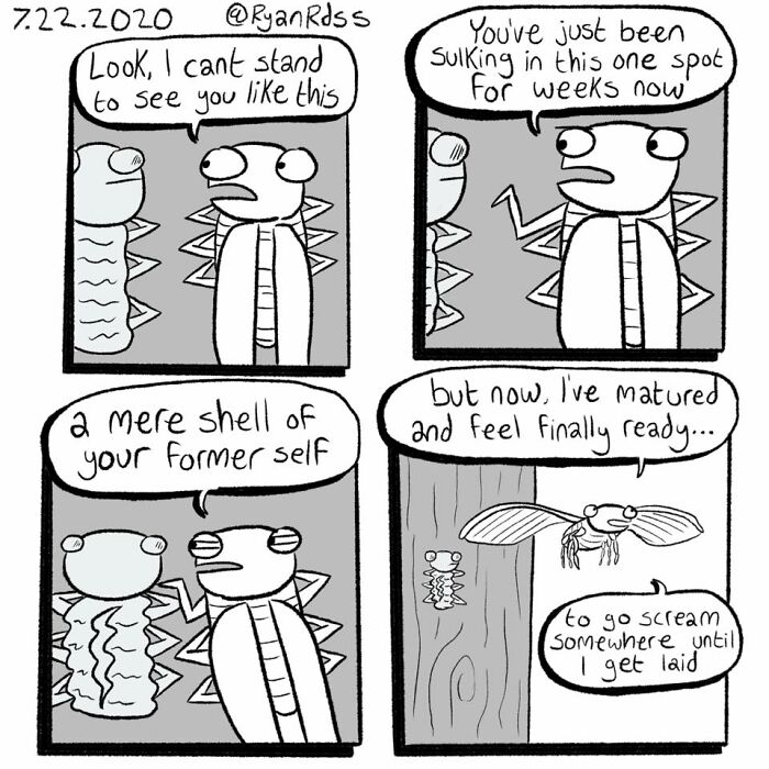 The Best Of Ryan Rds: 70 Comics