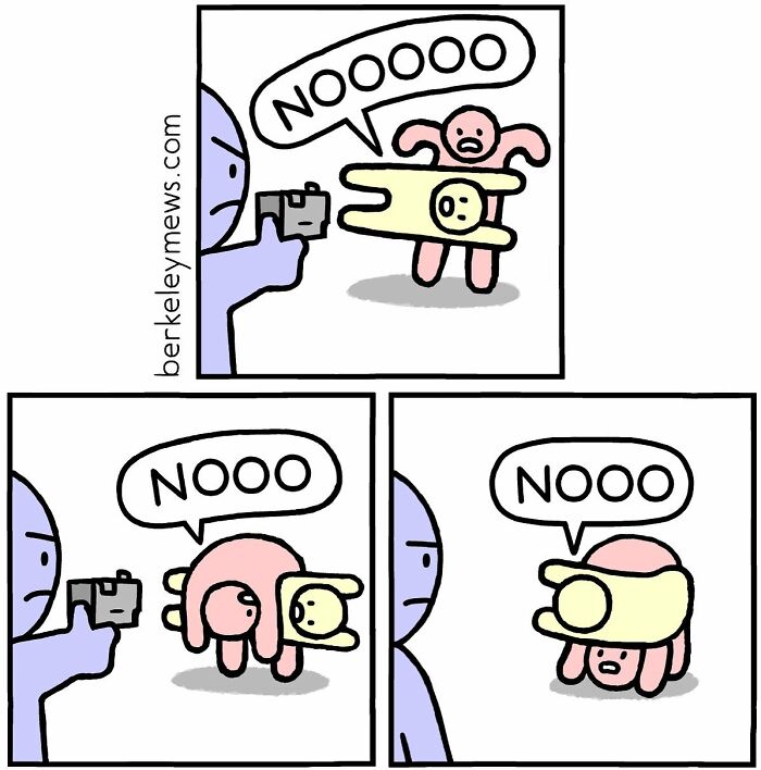 The Best Of Ben Zaehringer Berkeley Mews