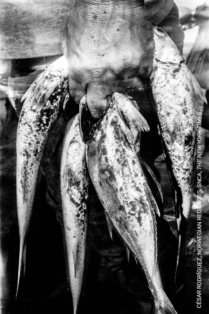 North And Central America, Long-Term Projects: Mexico, A Changing Climate By César Rodríguez, Norwegian Red Cross, Snca, The New York Times