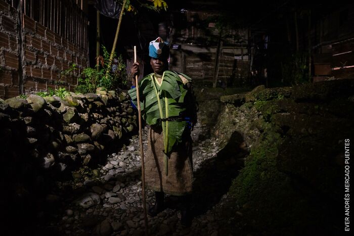 South America, Stories: Manacillos: A Return To Life By Ever Andrés Mercado Puentes