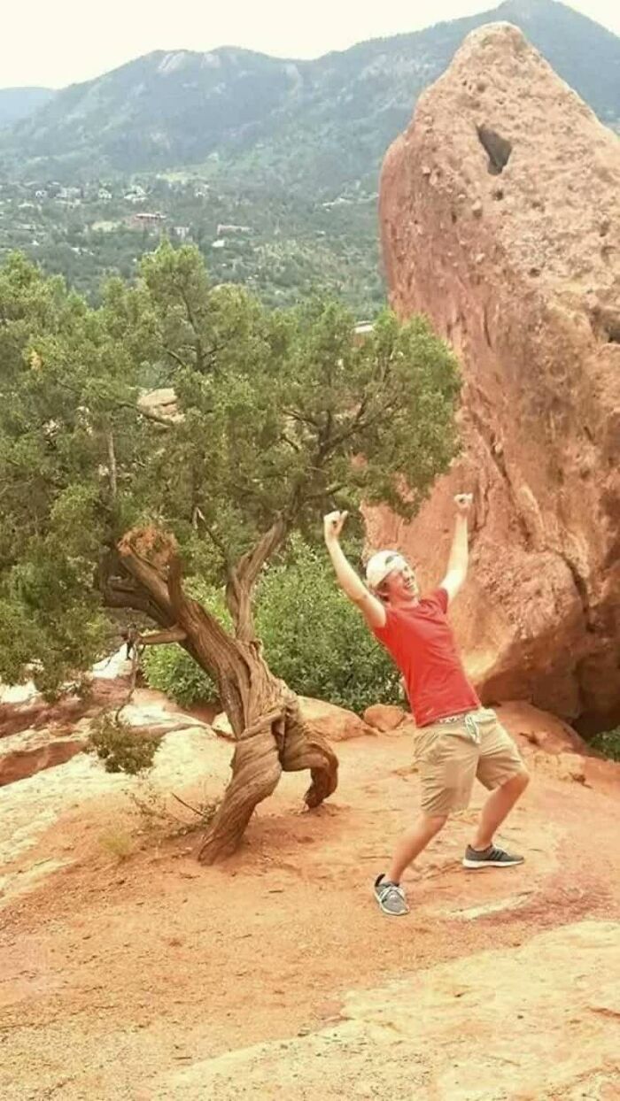 A man in a red shirt and hat celebrating next to a gnarled tree and a large weird rock formation, mountains in the background.