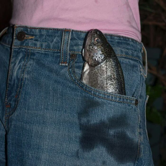A Weird Image: A whole fish, head poking out, in a jeans pocket with a wet stain. Definitely made people go 'Hmmm'.