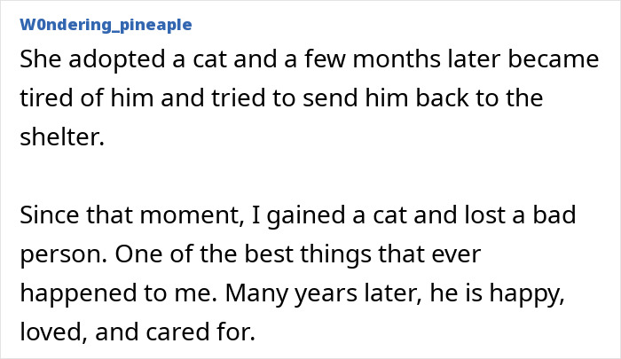 A text post from Wondering_pineapple about adopting a cat and ending things due to red flags, making the cat happy.