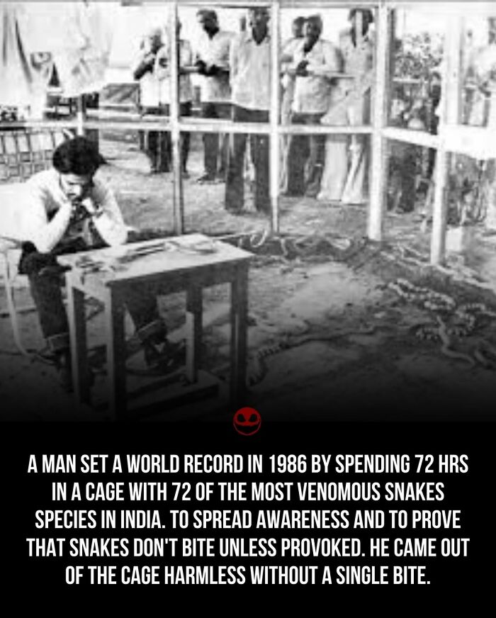 Man sitting calmly inside a cage with 72 venomous snakes, showcasing one of the weird and odd facts to think about.