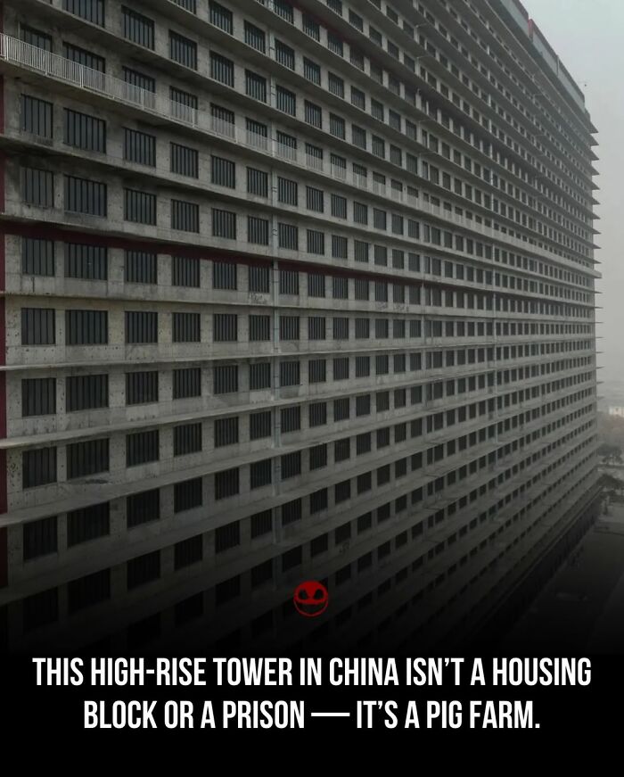 High-rise tower in China used as a pig farm, an odd fact that challenges typical building uses and expectations.
