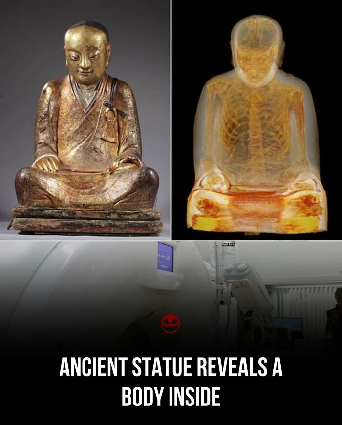 Ancient statue with X-ray revealing human skeleton inside, a weird and odd fact to give your brain something to think about.