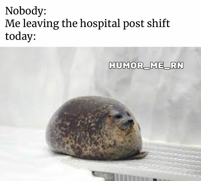 Seal looking exhausted with text about leaving the hospital post shift, a funny healthcare meme to lighten your day.