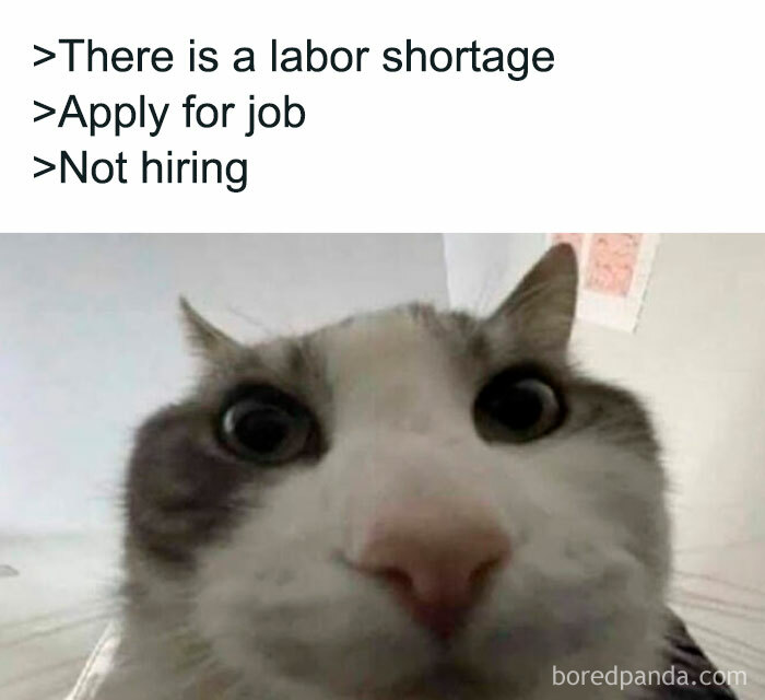 Jobs In 2026 Be Like:
