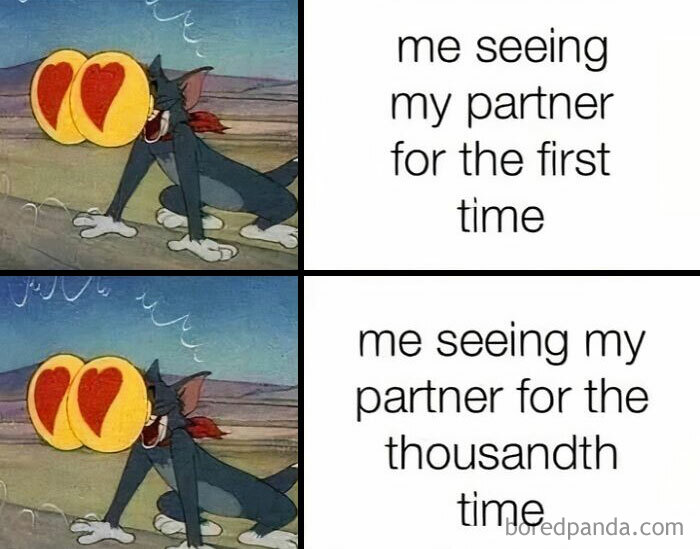 Cartoon cat with heart-eyes emojis, humorously showing romantic relationship feelings from first to thousandth meeting.