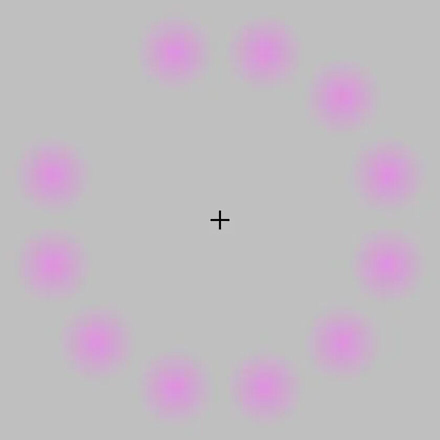 Brain-bending optical illusion of blurry pink-purple circles around a central cross on a grey background.