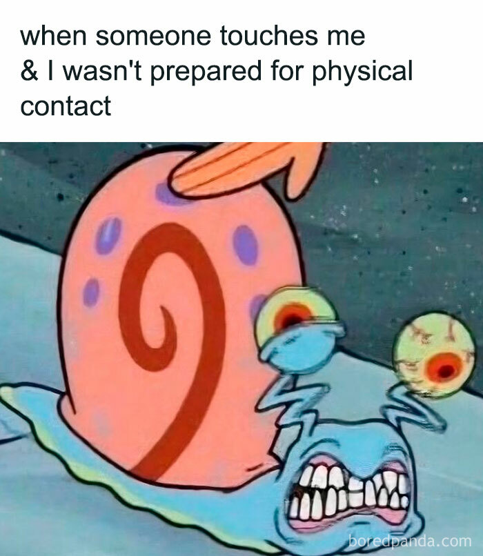 Funny meme of a shocked cartoon snail reacting to unexpected physical contact for a relaxing evening.