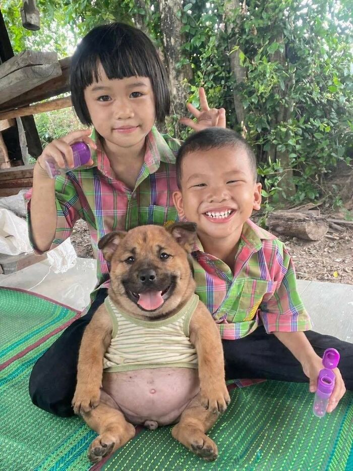 33 Wholesome And Funny Animal Pics That Will Instantly Make Your Day Better (New Pics)