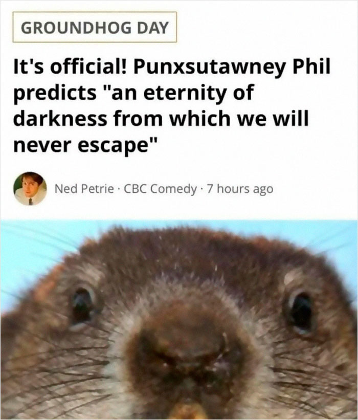 Close-up of a groundhog with a meme about an eternity of darkness, fitting hilariously relatable memes about giving up on life.