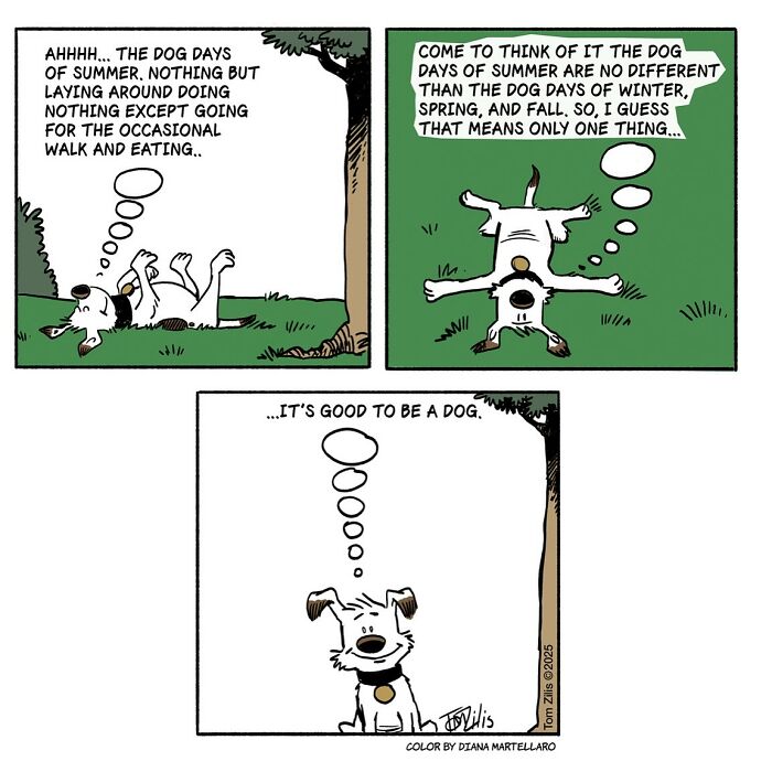 45 Comics By Tom Zilis That Turn Everyday Awkward Moments Into Brilliantly Funny Twists (New Pics)