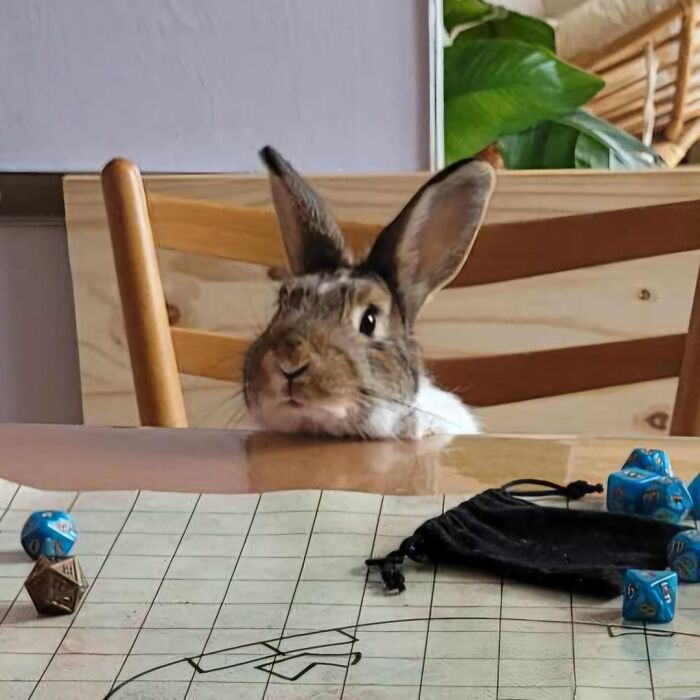 37 Mysterious Things That Happened And People Still Don’t Have An Explanation For Them