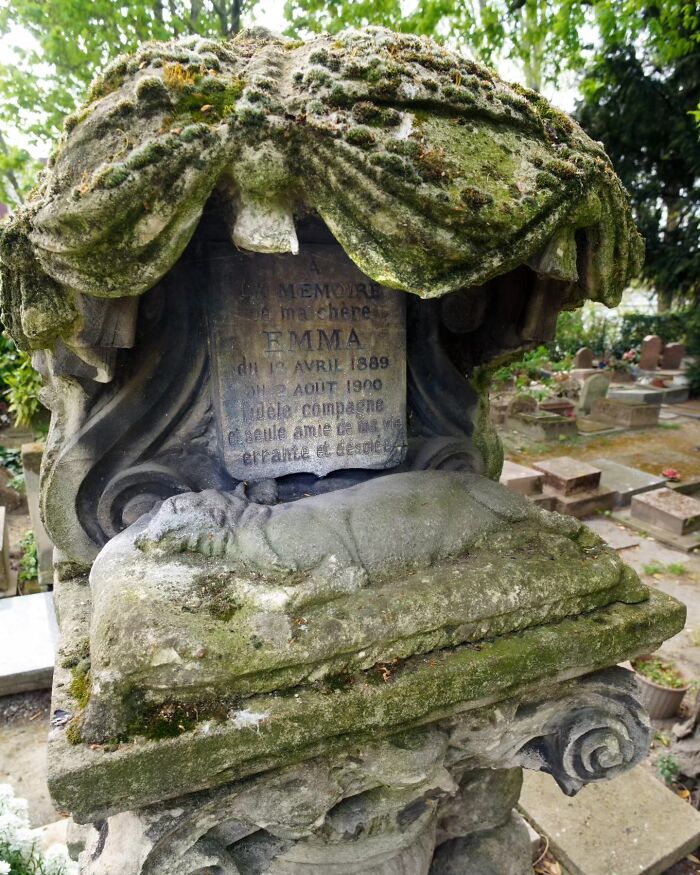 These Touching Pet Memorials Show How Deep The Bond Between Humans And Animals Truly Is (25 New Pics)