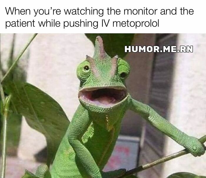 Chameleon with a surprised expression illustrating funny healthcare memes about multitasking during patient care.
