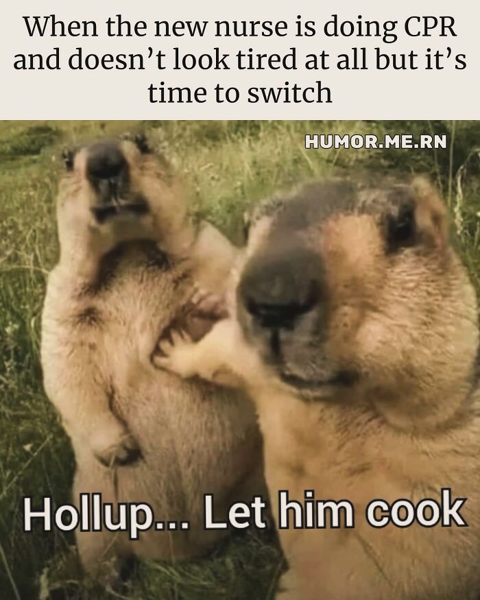 Funny healthcare meme showing two prairie dogs with one stopping the other, caption about CPR and switching.