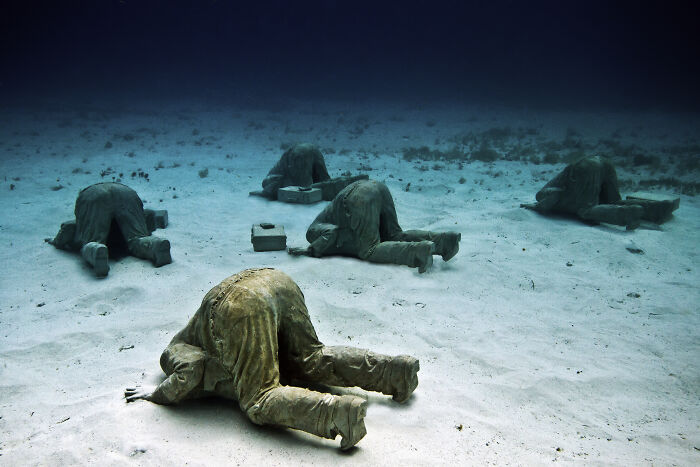 The Bankers, Musa, Mexico