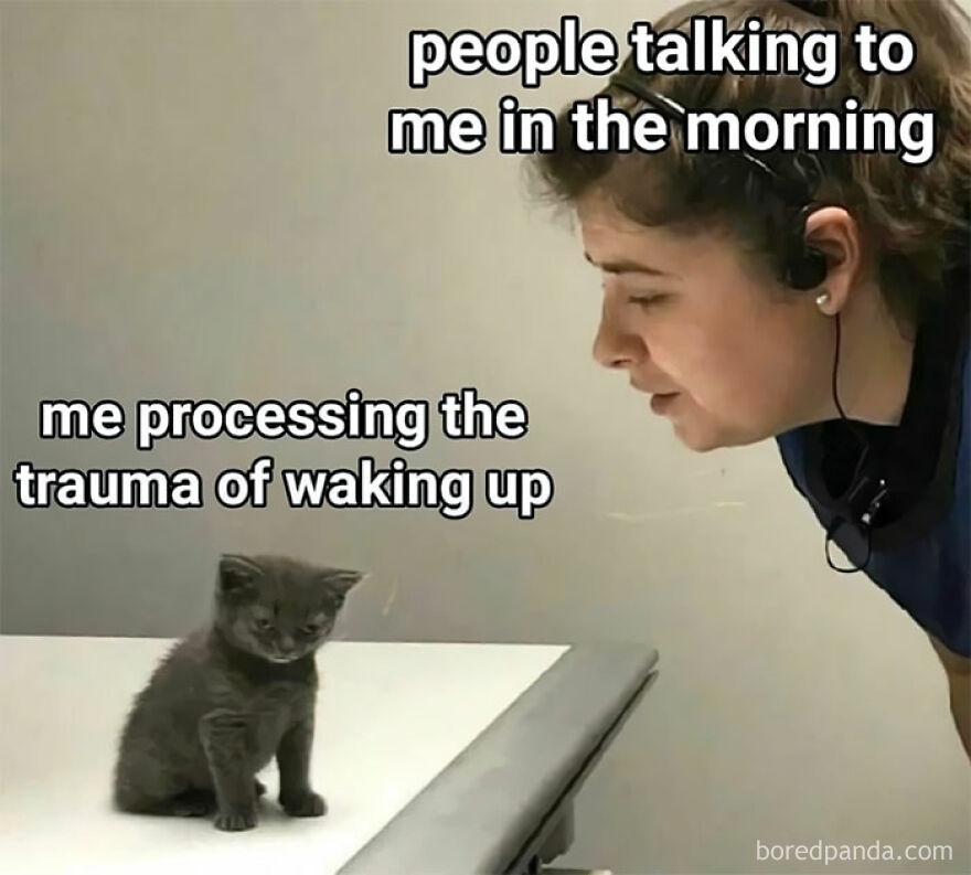 A funny and relatable meme of a woman talking to a grumpy kitten, captioning morning trauma.