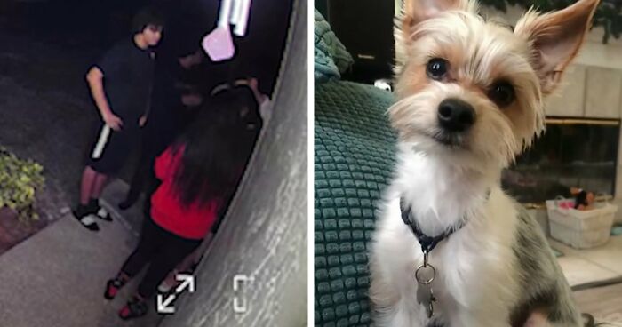 10 Extremely Dangerous TikTok Challenges That Ended In Fatality