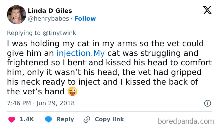 A tweet from Linda D Giles describing an embarrassing moment of kissing the vet's hand instead of her cat's head.