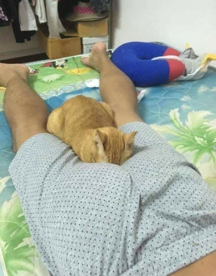 These Heartwarming Animal Photos Show The Beautiful Bond Between Animals And Humans (31 New Pics)