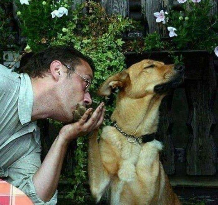 These Heartwarming Animal Photos Show The Beautiful Bond Between Animals And Humans (31 New Pics)