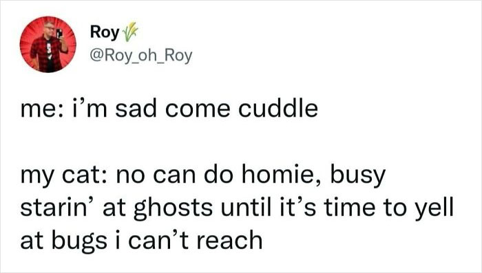 Screenshot of a relatable humorous meme about feeling sad and a cat being busy, from people who gave up on life humor.