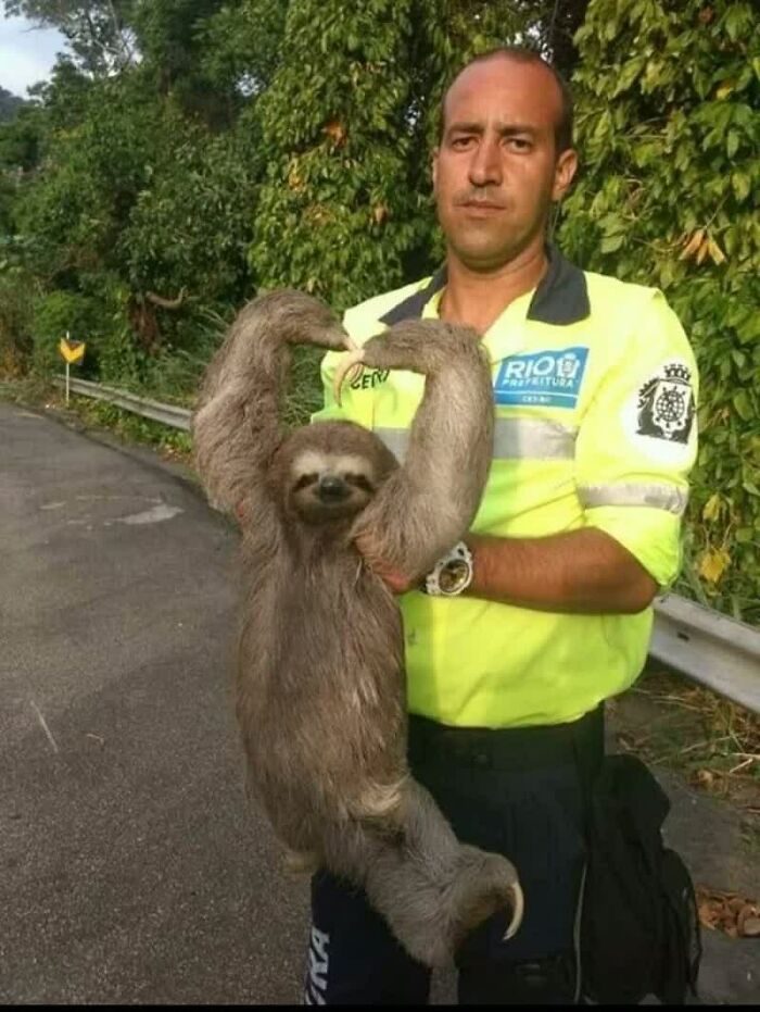 A man in a neon shirt holds a sloth that flexes its arms, a weird image that made people go hmmm.