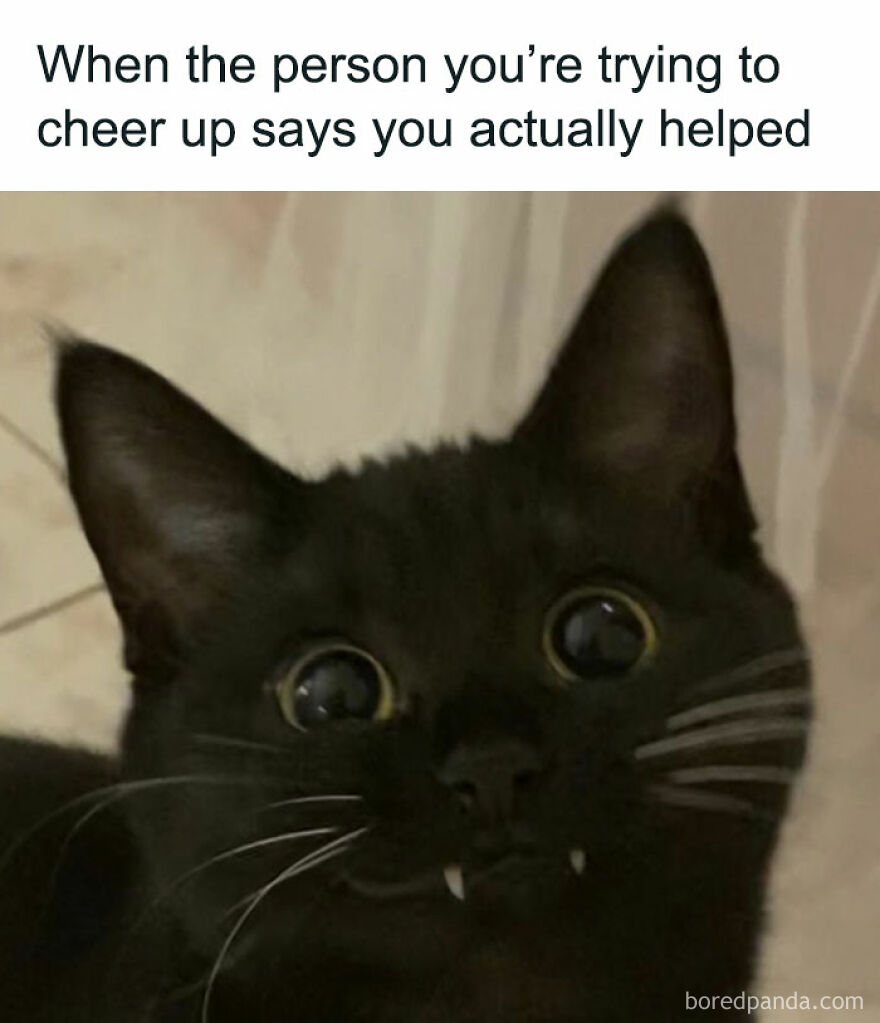 Funny-Relatable-Introvert-Memes