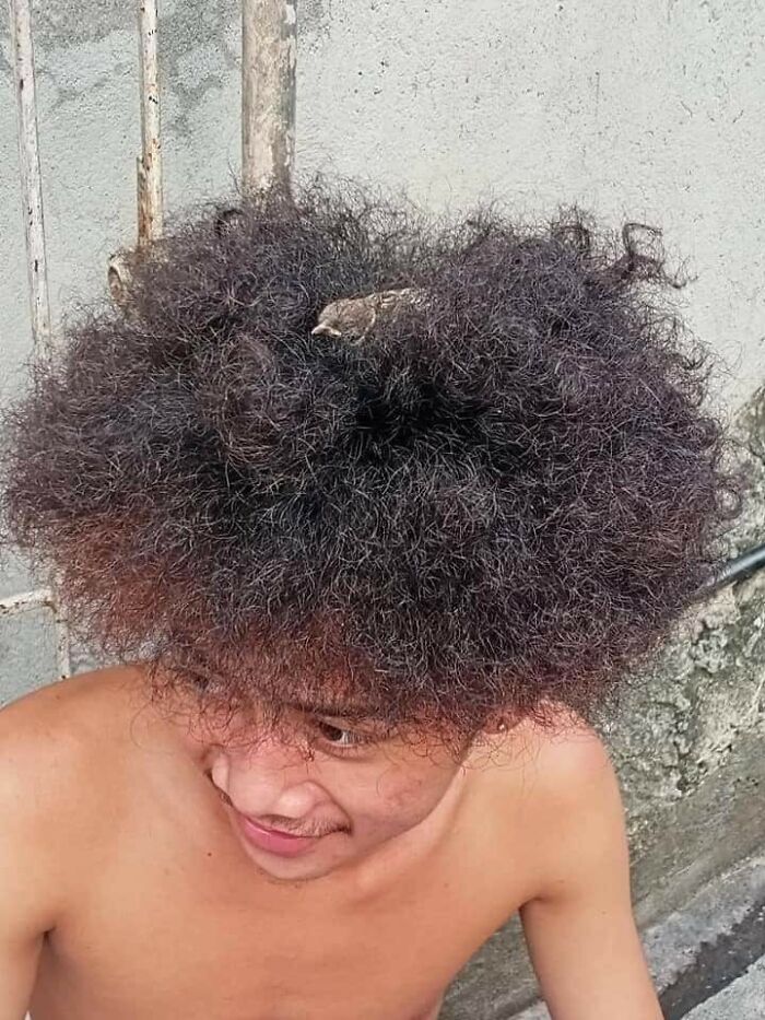 These Heartwarming Animal Photos Show The Beautiful Bond Between Animals And Humans (31 New Pics)