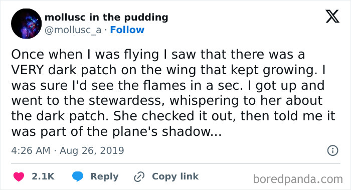 A social media post detailing an embarrassing moment where a plane passenger mistook a shadow for a fire.