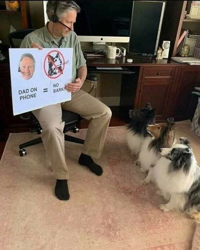 These Heartwarming Animal Photos Show The Beautiful Bond Between Animals And Humans (31 New Pics)