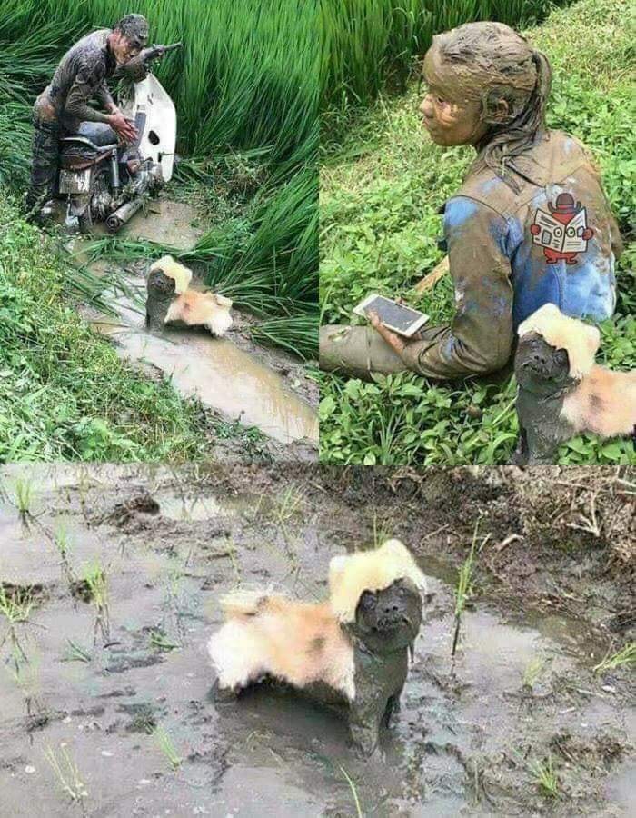 These Heartwarming Animal Photos Show The Beautiful Bond Between Animals And Humans (31 New Pics)